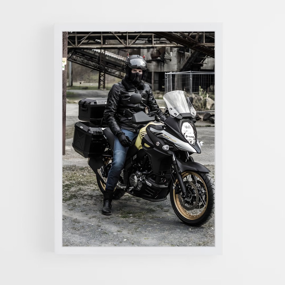 Poster magnifique V-strom (vue 3)